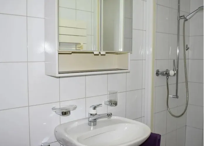 Al Passetto - 15 Min Walk From Piazza Grande Apartman Locarno